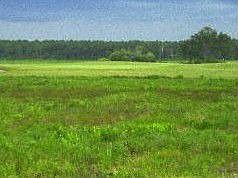 2.63 acres typical of area