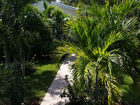 Front walkway