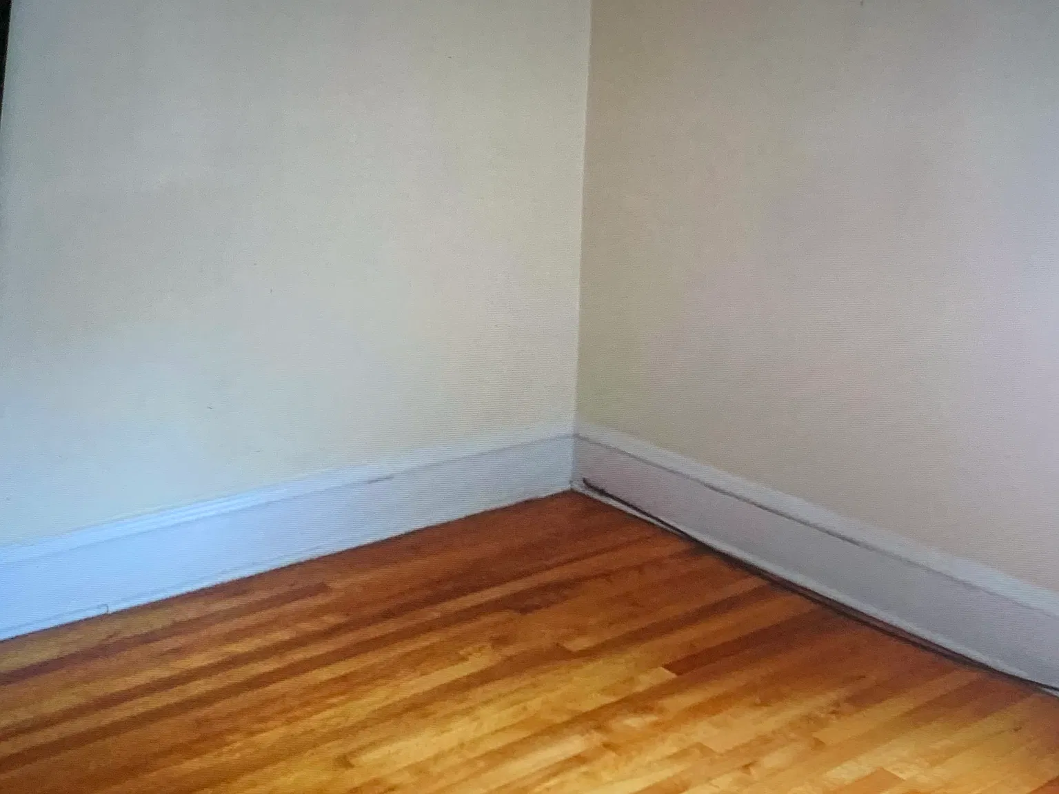 2 bed, $1,550 — Photo 3