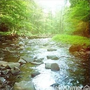 Callicoon creek runs through the land : Depending in the rain there can at times be swimming holes.