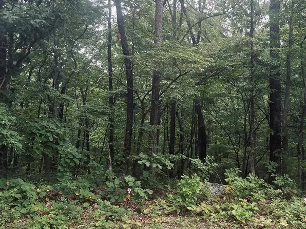 2459 Apison Rd, Ringgold, GA 30736