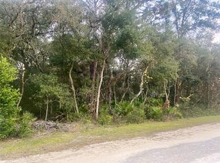 7340 Idlewood Dr #12, Webster, FL 33597