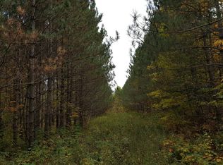 N Slattery Rd, Winter, WI 54896