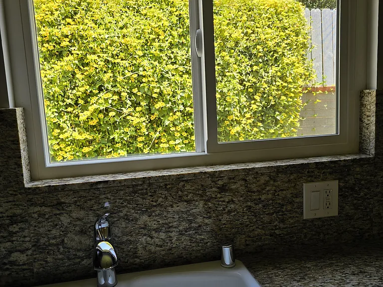 Lovely flower wall view from the sink area