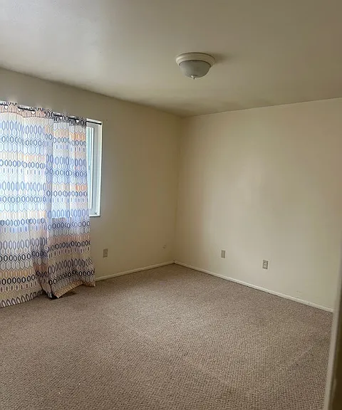 10073 Puttington Dr #C — Photo 3