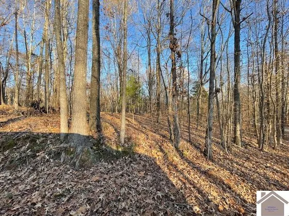 8-10 Twelve Pines Circle 10x #8X-9X-12X, Cadiz, KY 42211