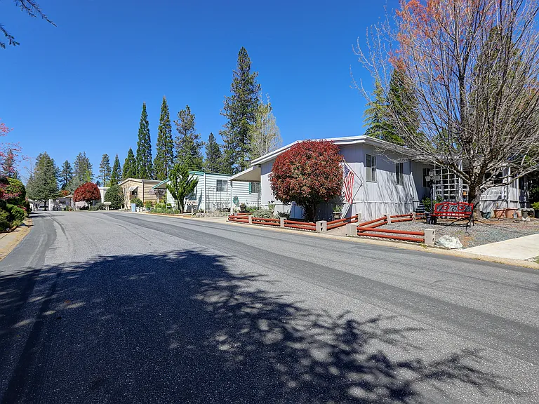 Forest Springs — Photo 3