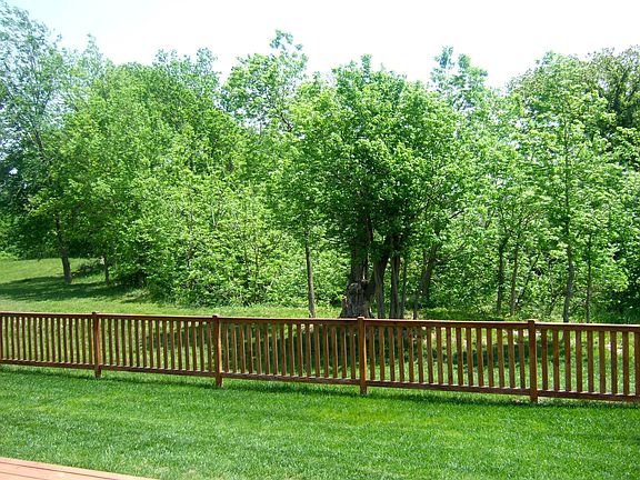 Back Yard View