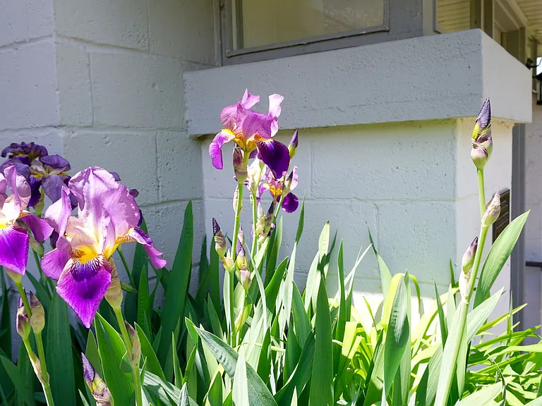 Marcy Court — Photo 8