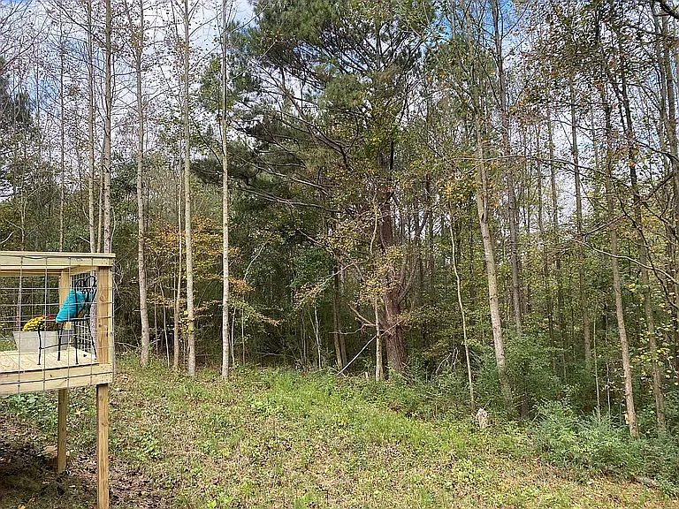 4852 County Road 1141 #2 — Photo 11
