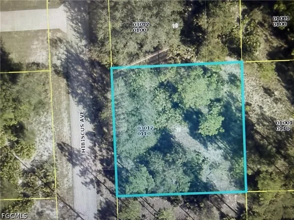 1602 Hibiscus Ave, Lehigh Acres, FL 33972