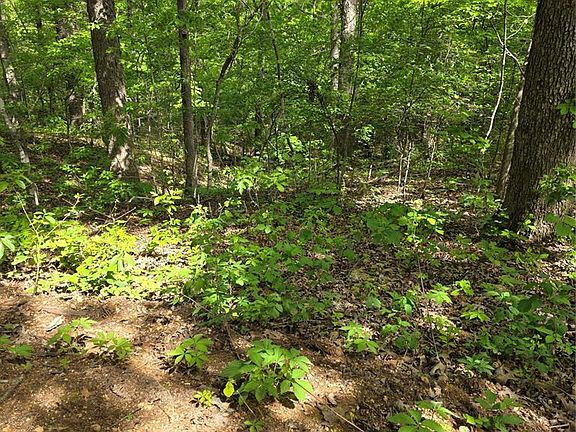 3rd image of Tbd Broken Circle Rd
