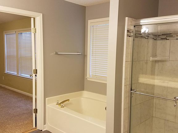 Master Shower & Tub