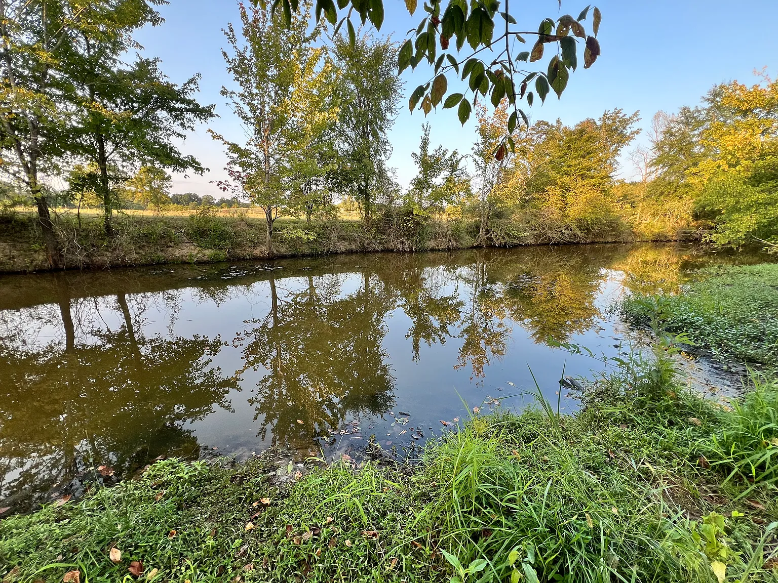 2 bed, $875 — Photo 2