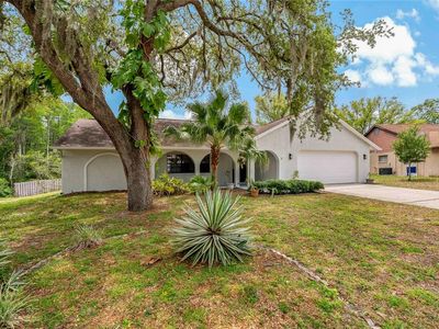 7301 Canvasback Dr, New Port Richey, FL, 34654
