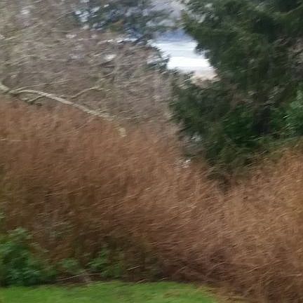 5th image of 51 N Riverview Dr