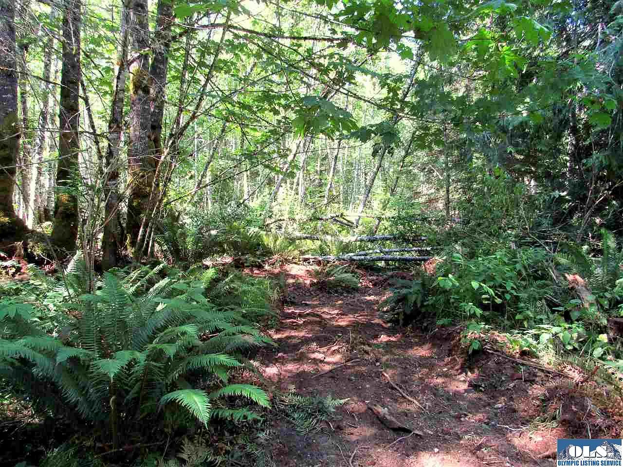 Lot # 47 Ripplbrook Dr photo 1