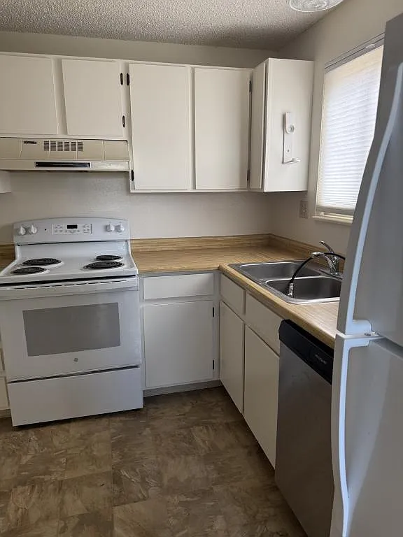 1804 Lily Pl — Photo 3