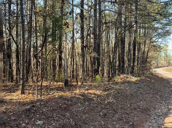 8 Beach Rd, Greenville, GA 30222