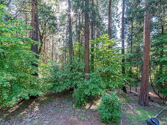 Surrounded by Dogwoods & Pine trees.