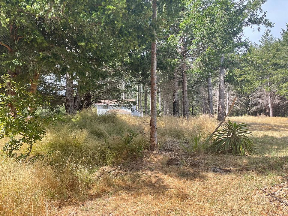 1st image of 243 Debbie Ln