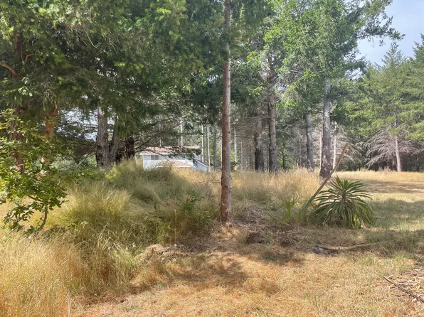 243 Debbie Ln, Whitethorn, CA 95589