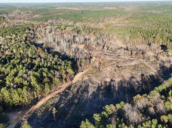 Old Fred Williams Rd, Hamilton, AL 35570