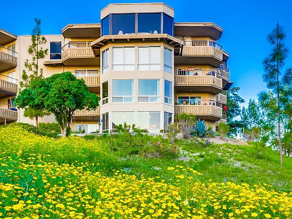 Pastoral beauty at back!