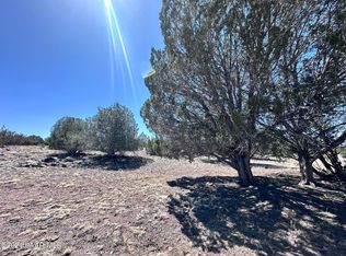 614 N Verde Ln, Seligman, AZ 86337