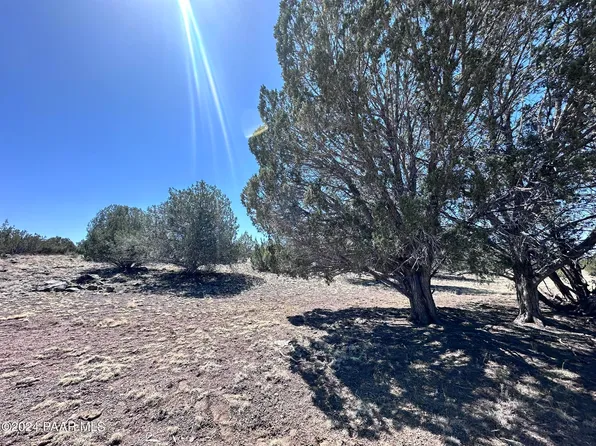 614 N Verde Ln, Seligman, AZ 86337