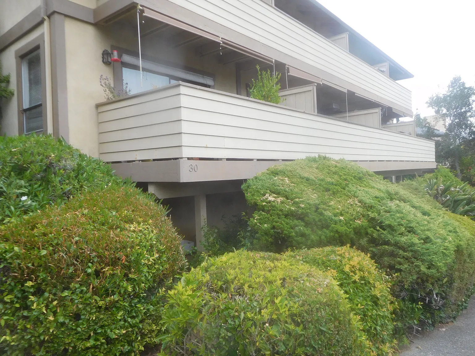 2 bed, 1.5 bath, 900 sqft, $3,600 — Photo 2