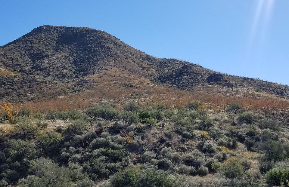 2nd image of Ocotillo Rim Trl #1