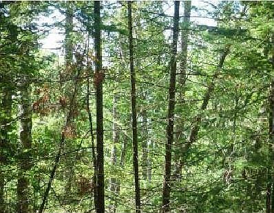 3rd image of 6 Acres Hanson Road
