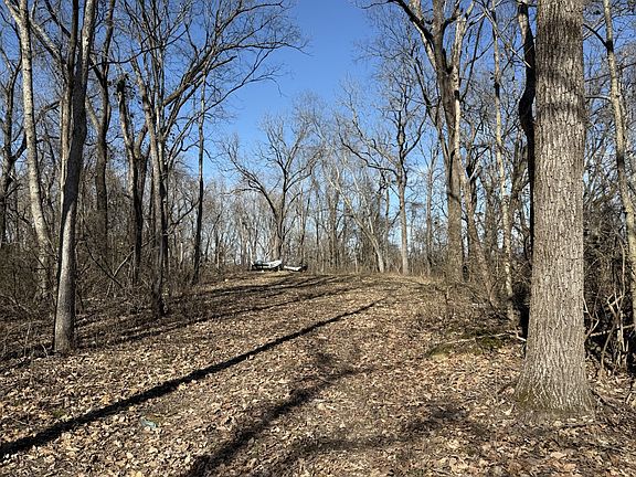 5th image of 0 Hester Beasley Rd Lot 3