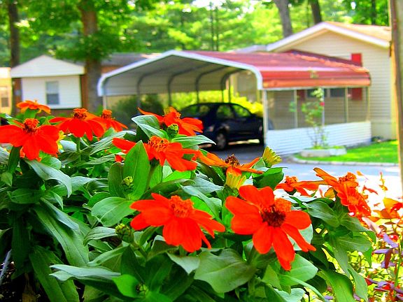 Grounds