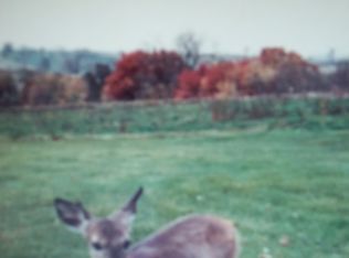 2397 Chris Na Mar Rd, Dodgeville, WI 53533