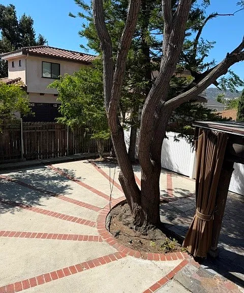 2616 Piedmont Ave — Photo 21