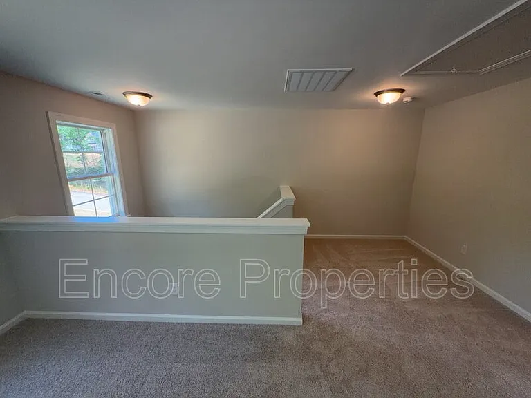 135 Little Gem Ln — Photo 11