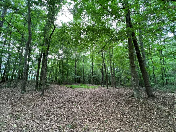 4125 Lee Road 86, Waverly, AL 36879