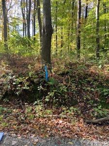Tr312 Ober Rd, Stahlstown, PA, 15687