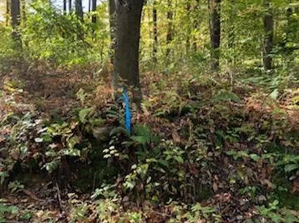 Tr312 Ober Rd, Stahlstown, PA 15687