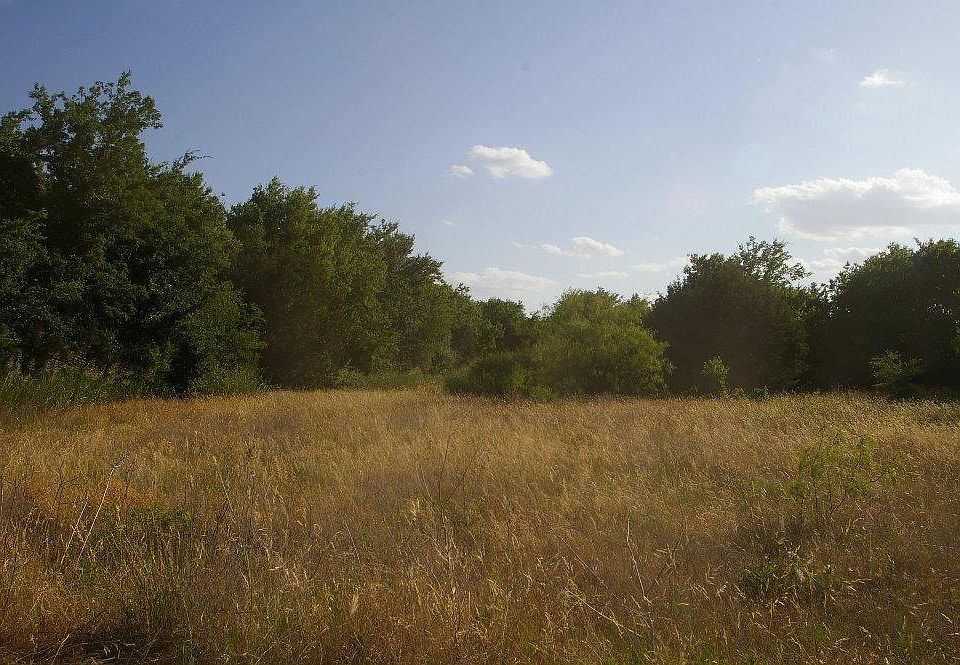 2nd image of 2338 County Road 3155