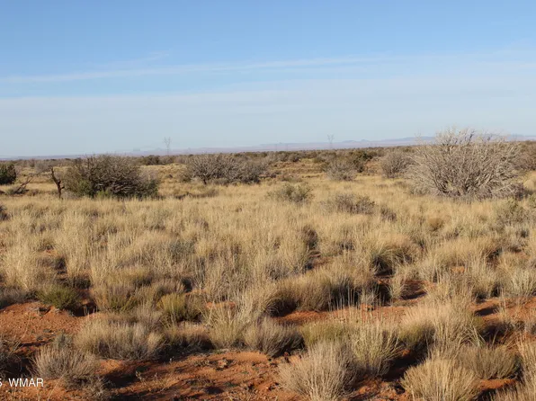 224 Ccr #2, Heber, AZ 85928