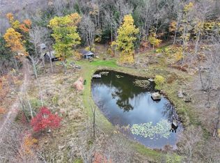 936 California Hollow Rd, Bolivar, NY 14715