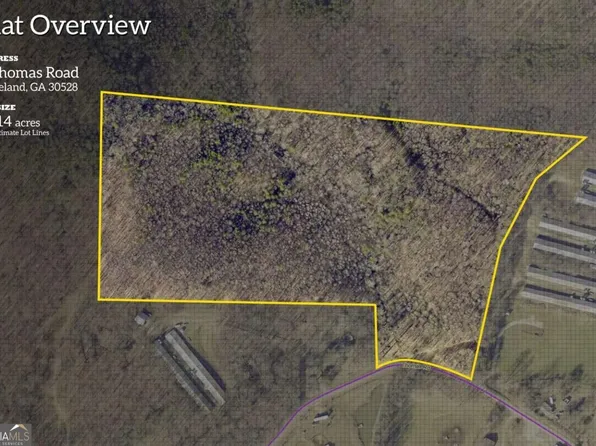 0 Thomas Rd, Cleveland, GA 30528