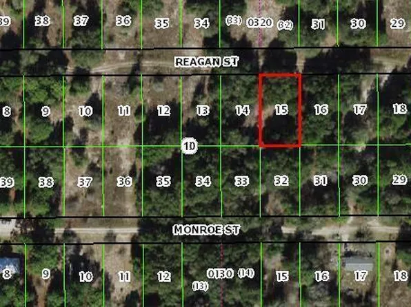 2403 Reagan St, Inverness, FL 34453