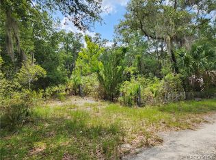 11335 N Ginny Lane Point, Inglis, FL 34449