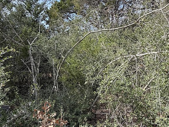 4th image of LOT 21 Flint Ridge St