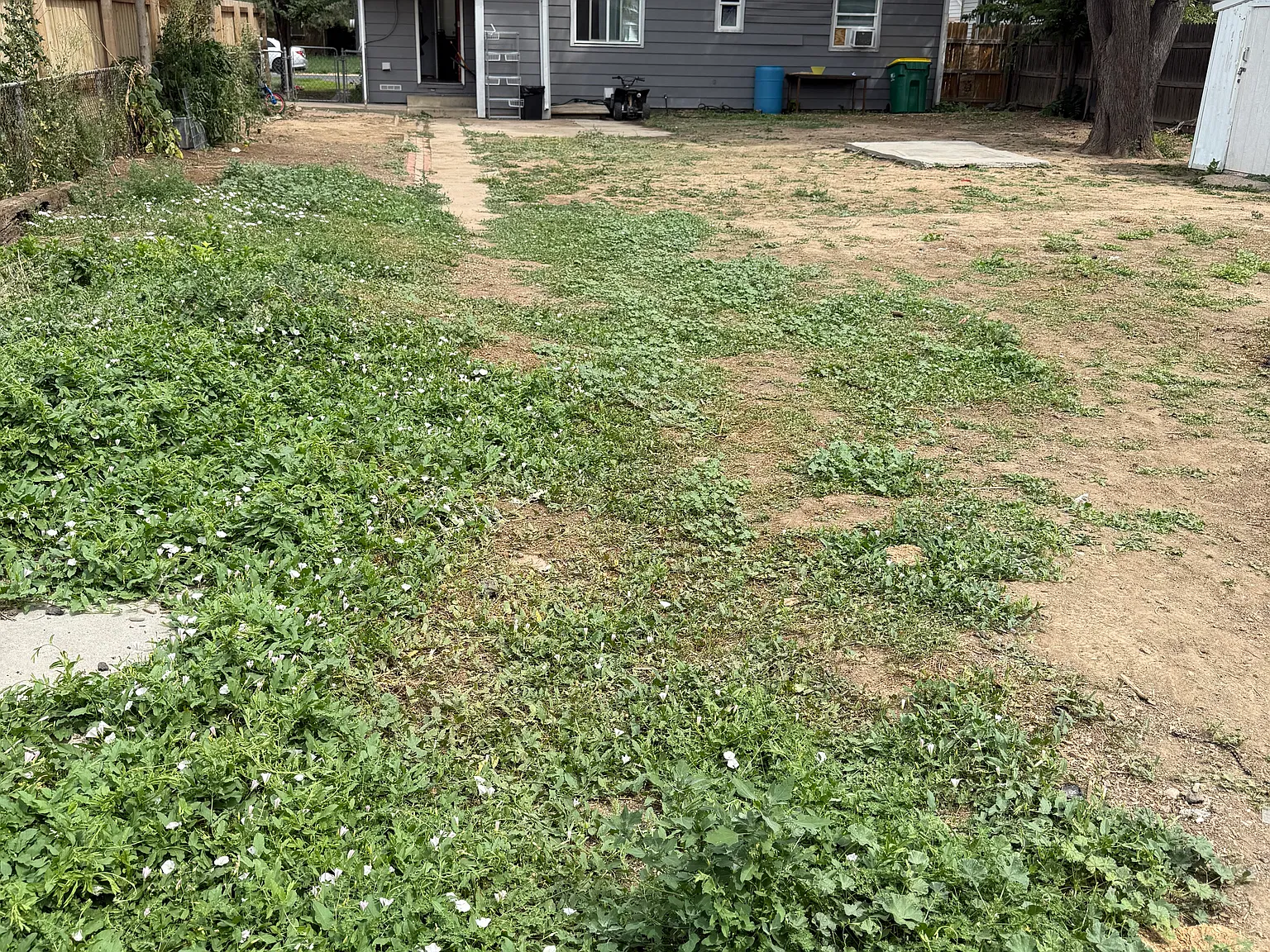 2357 Elmira St — Photo 3