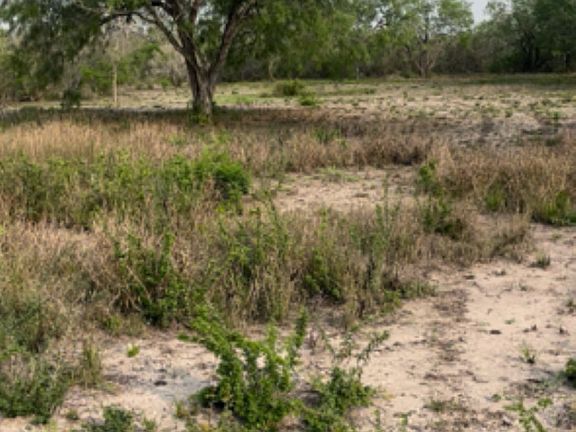 2nd image of 271 FM 1358 LOT 1